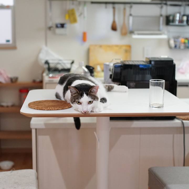 4068cf6b 2623 44f0 a7ee d7a5973b2aa3 1526513160587