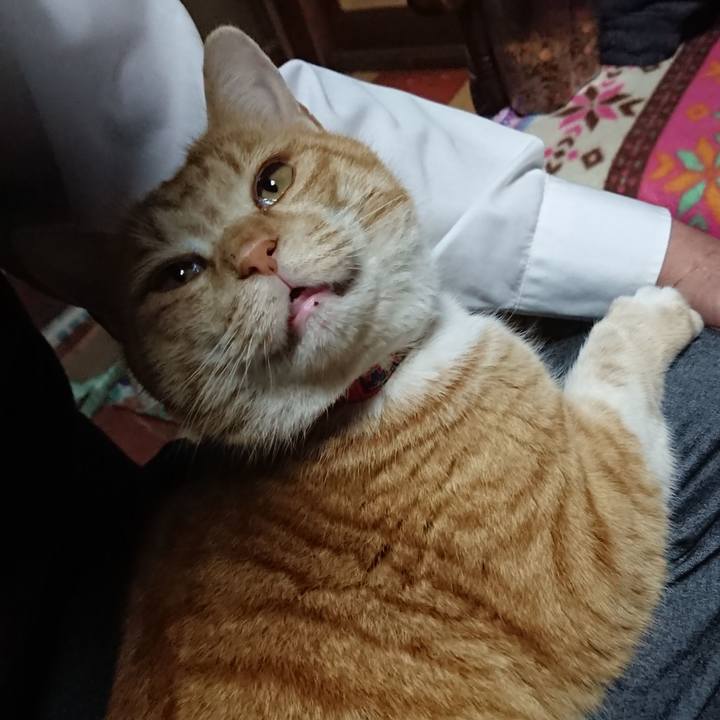 406904da 6279 4448 9deb 44ec57f0bb2e 1578646692201