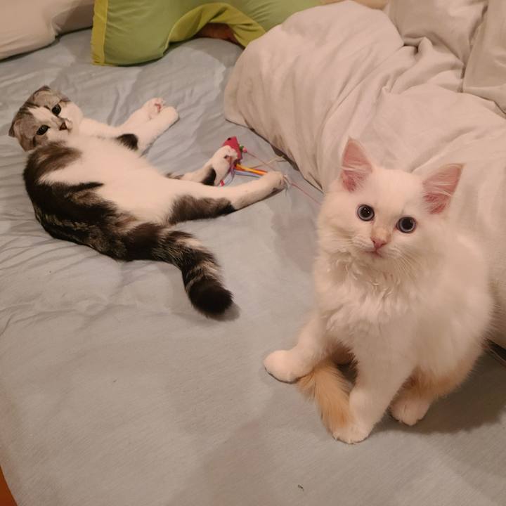 40691f53 739e 4221 8ad5 b3e413379bd8 1655202553494