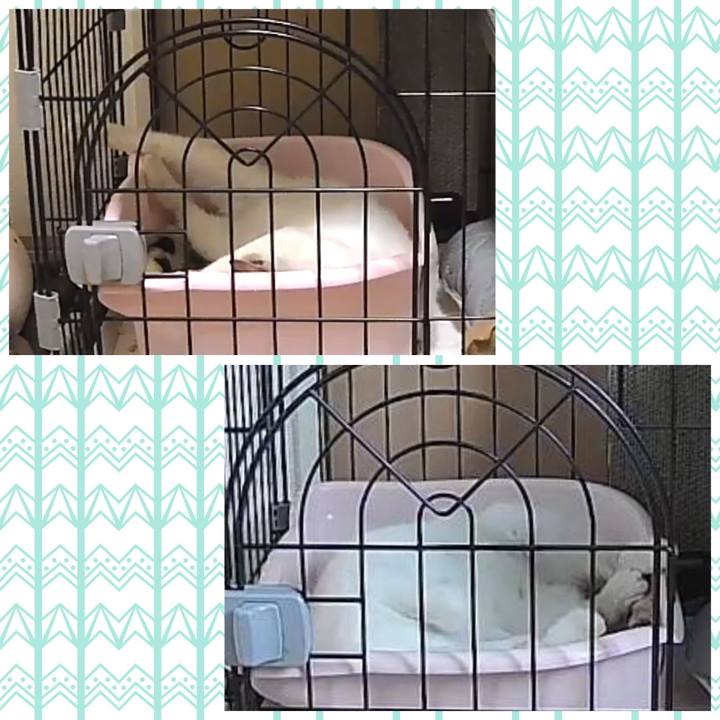 40695551 467d 4069 9952 870ef3ff22a1 1718796529829