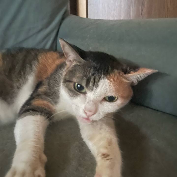 40695677 fb36 4680 a504 156d14baa0a3 1726847609993