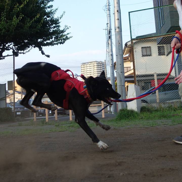 406967fc 26a9 4aee aad4 f45da95e4b29 1592389991268