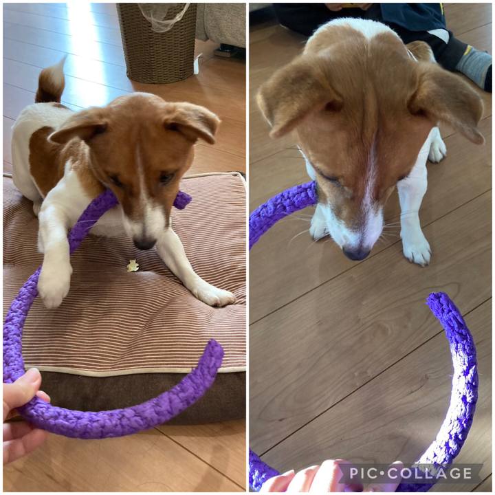 40697c29 c845 4ea3 b78c 6bbf3b09013b 1671014429343