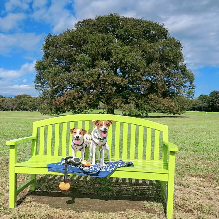 40699f08 67f8 406a 806f c2543d318fcd 1761555007566