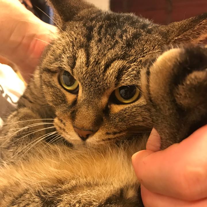 4069bedf fae3 4619 9600 e16d64fbbce5 1508652958709