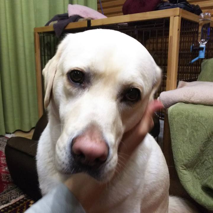 4069e7d0 dd59 4627 8c01 de0138f78b43 1522928465489