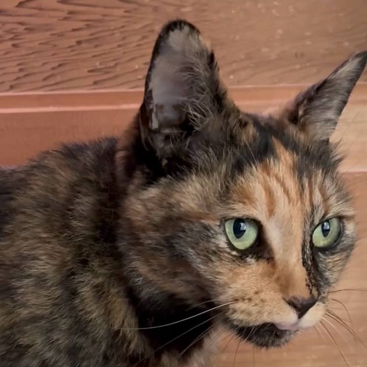 4069e994 9d50 4e24 a460 1fb0150b136c 1749088504218