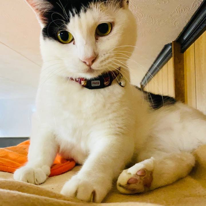 406a0163 dcb1 425c 9499 762855b30490 1669900413170