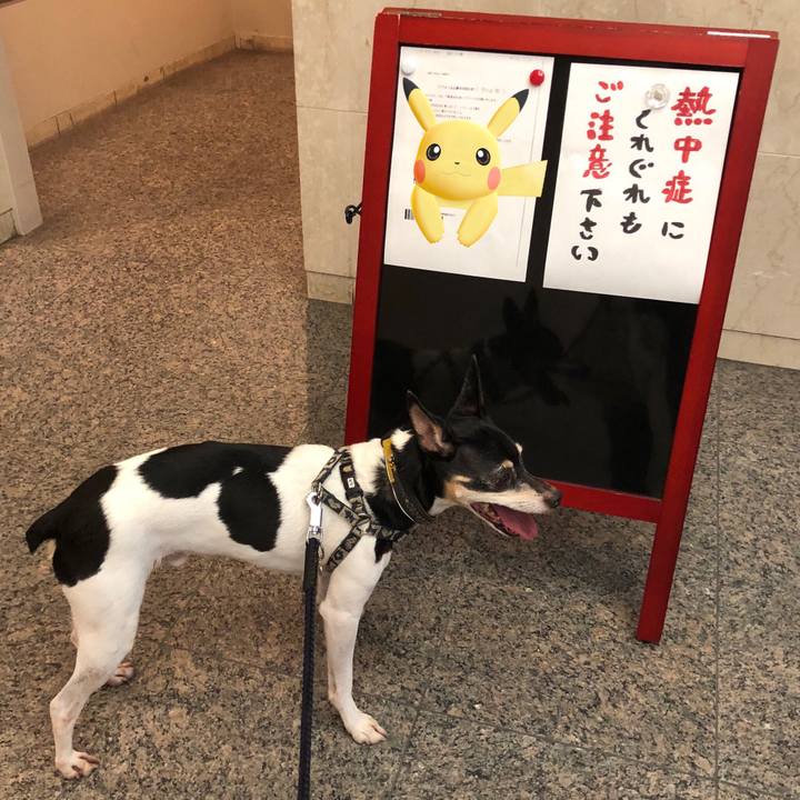 406a3312 0956 41c9 80a7 a8d3d8e5c3a5 1532601692871