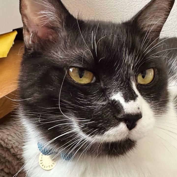 406a8417 5802 4119 b2e0 bcc8c7daa537 1776731817610