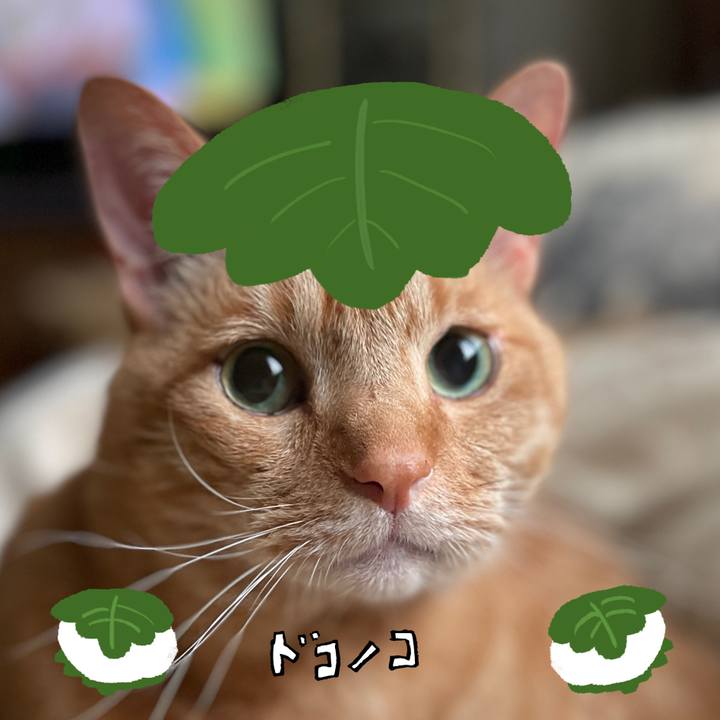 406a8977 c14b 4ce4 b894 a5b943b7247b 1749210120005