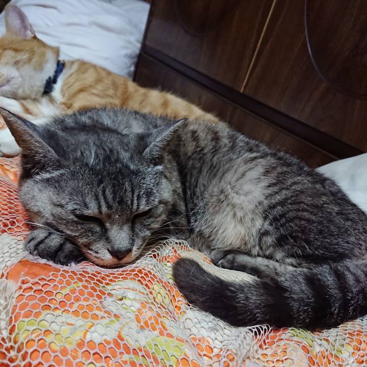 406ac5a6 99e2 45f2 8229 8af925e62fc3 1568293563994