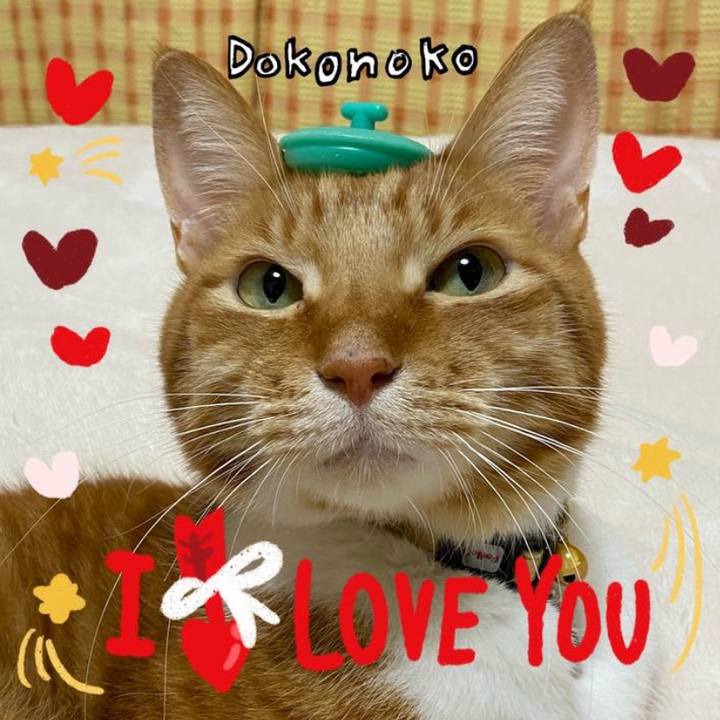 406acdea 6ea5 4a43 9f01 7d6426086e6d 1707904347185