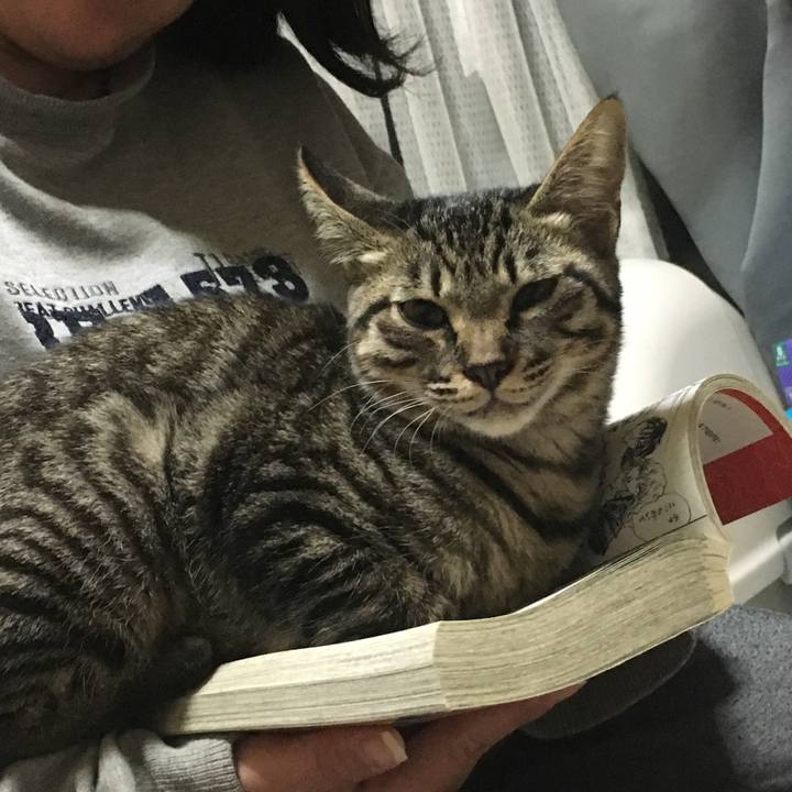 406ad1d2 cd27 4c5d 80c7 2a4671a2faa9 1541166718632