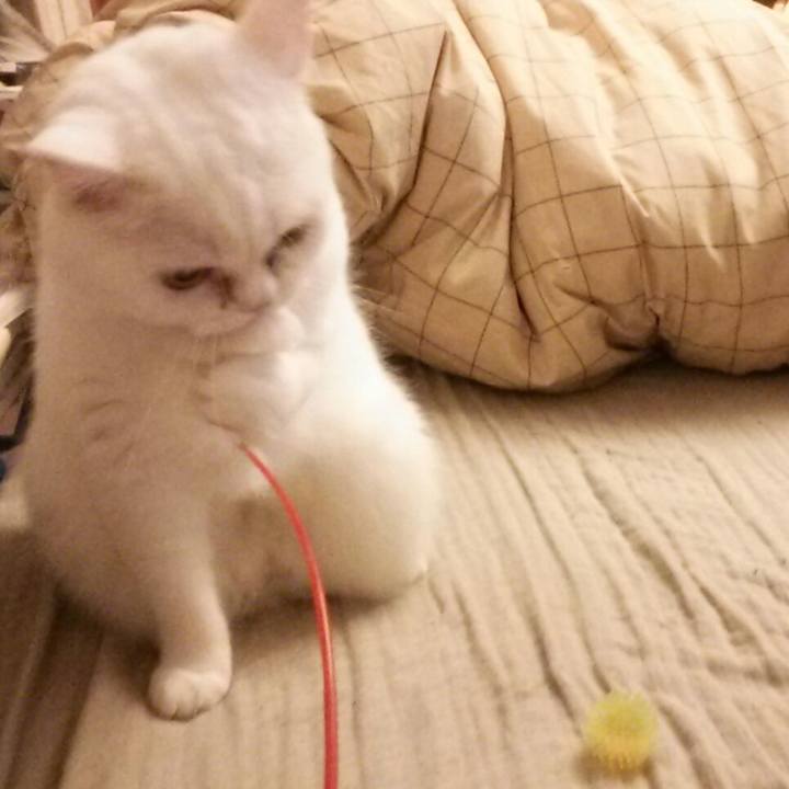 406ad994 211c 4f2d a5d1 e38531927d20 1510175370010