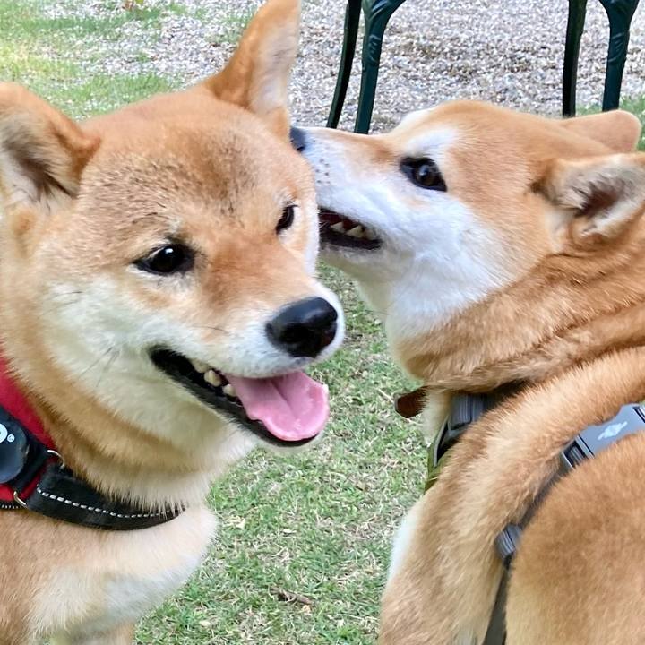 406b2631 13e9 437d a9d6 fbccb4d6ca10 1653864859068