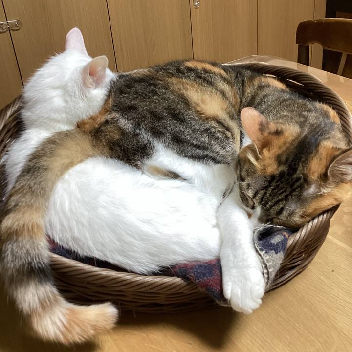 406b4897 d6a6 4a10 92e8 0548994ed6cd 1756575523043