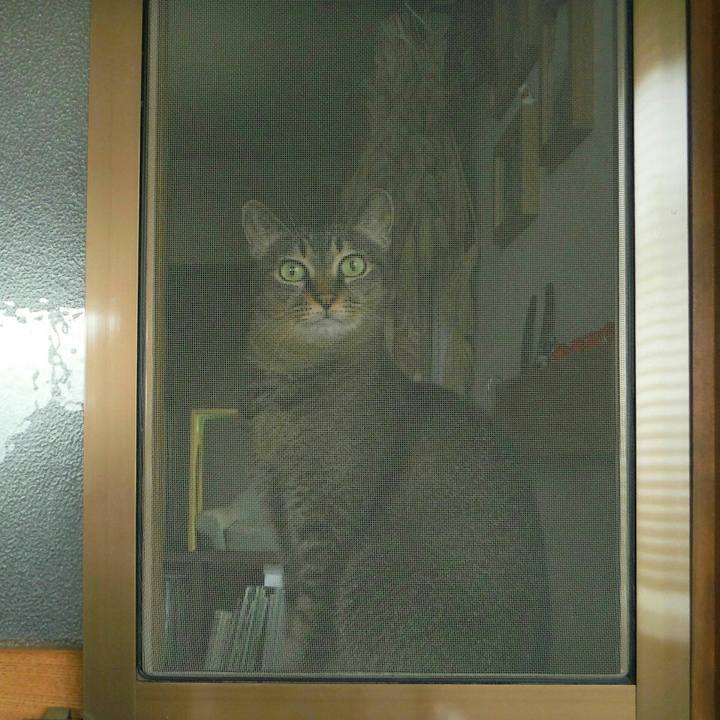 406bc1ee cf36 43d0 bc75 19890cee3ad3 1538615340300