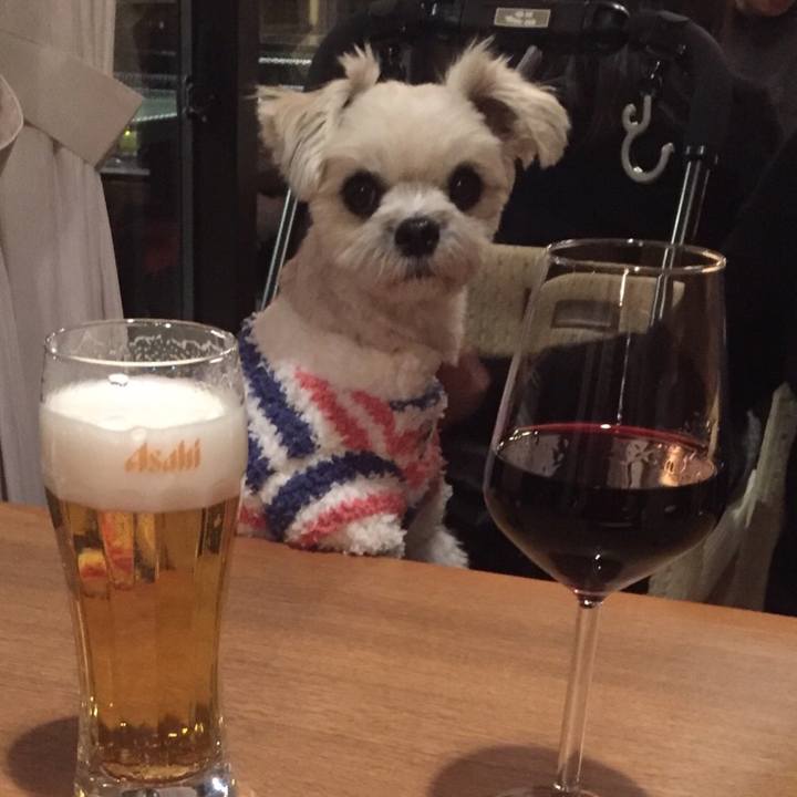 406bc373 06ab 4f60 a03e 5bba6cb3200b 1516190116956