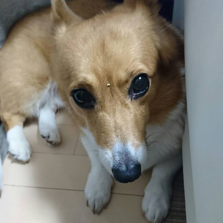 406c1967 6137 45e3 b698 0b5f136ae963 1555840364119