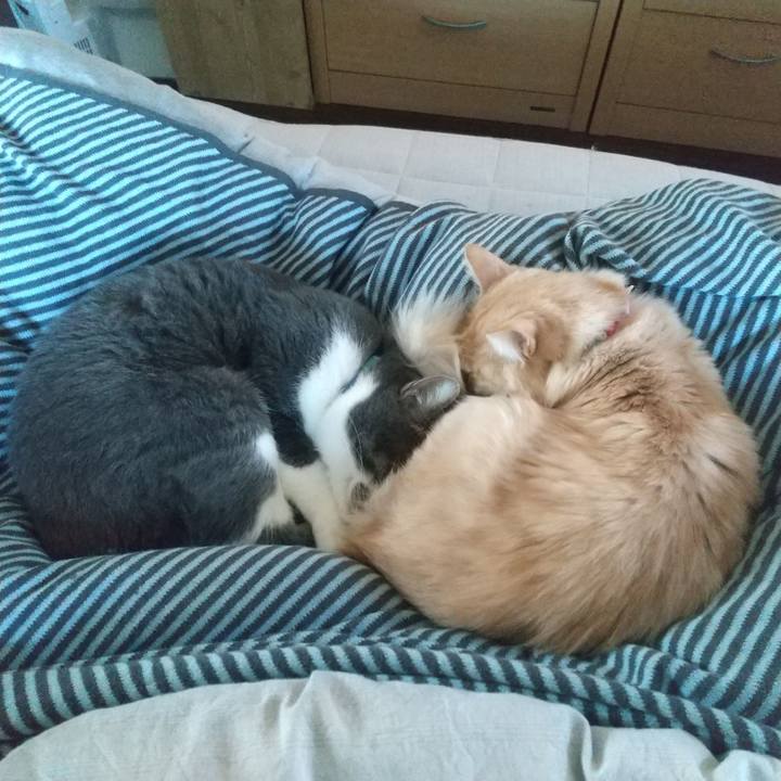 406c4f3c 131c 466d 85a6 7bdaef903a67 1642810617371