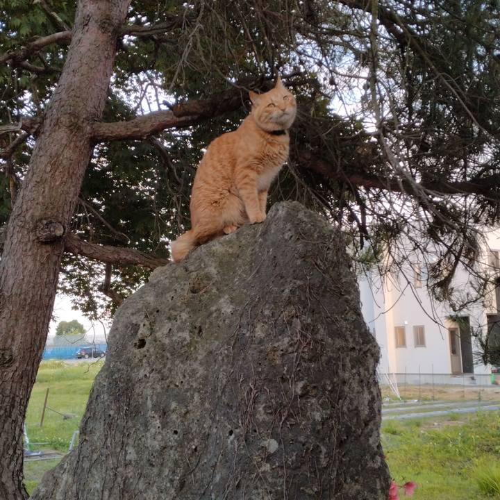 406c7aef 8ee2 4181 9adc f44d77a9759c 1685439882194