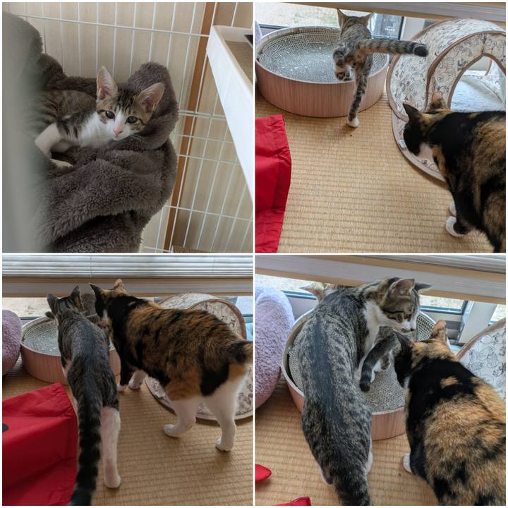 406c966b 84fd 4ba4 9017 44339faf87c5 1729658121515