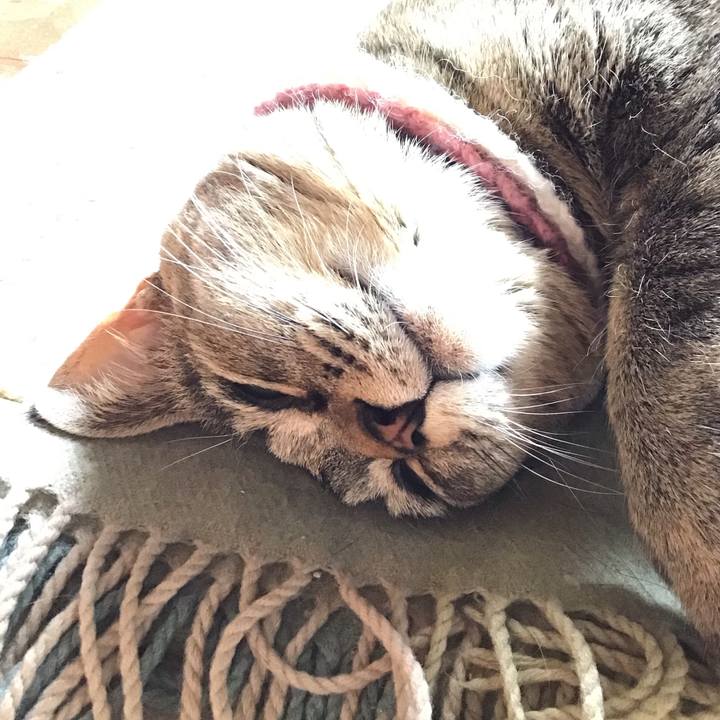 406cc73c ecc1 4ee3 8b21 92e28ddcff69 1620450487963