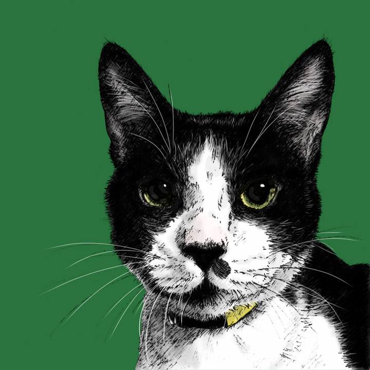 406cca00 79fa 473e b5c9 608a808b19e8 1614522495766