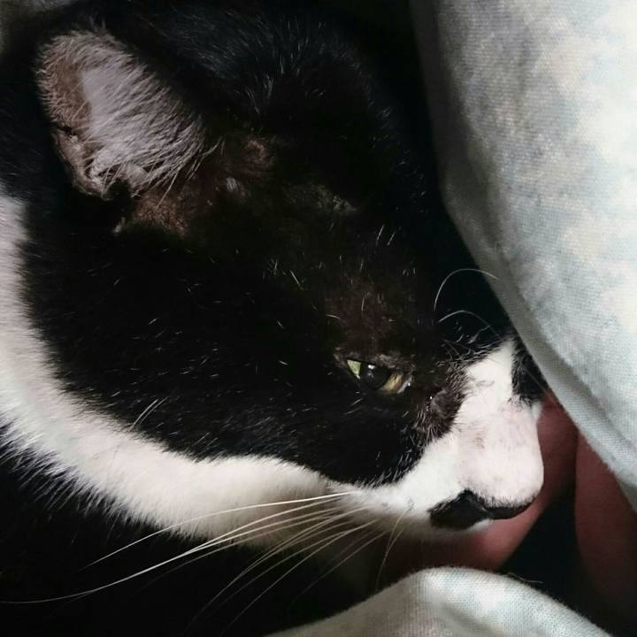 406cf849 a874 42c3 a849 1620cbb07bfd 1509255384627