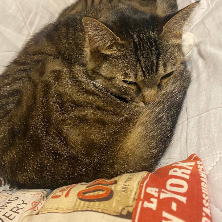 406d14d4 d717 48e5 bd96 adf28a2fb97e 1604301454104