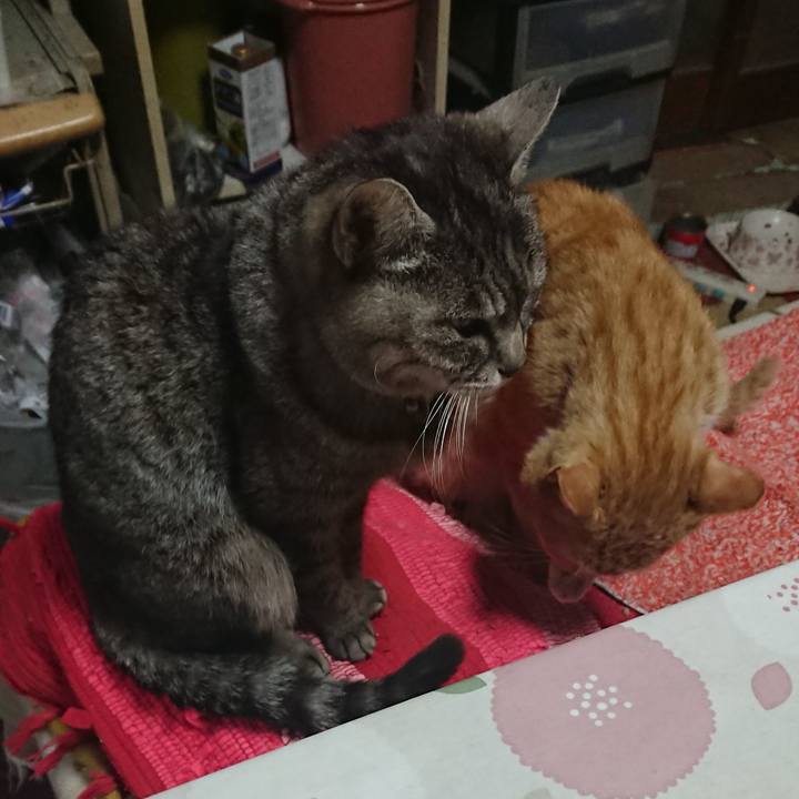 406d4ee0 dbce 4f4d 8833 ef2a99887a05 1555024415784