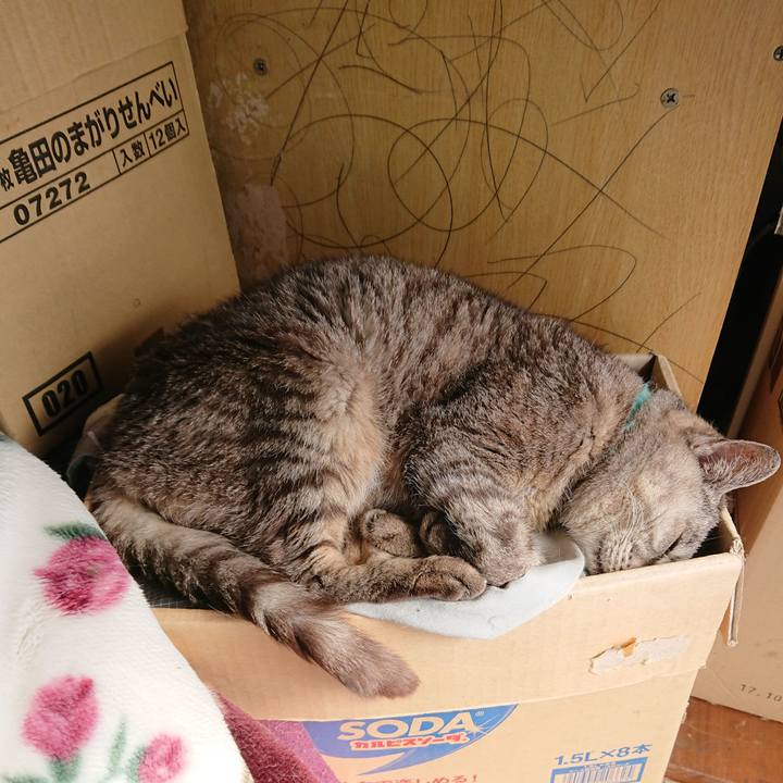 406daf09 c149 48b5 a02d 67242438d908 1570939287559