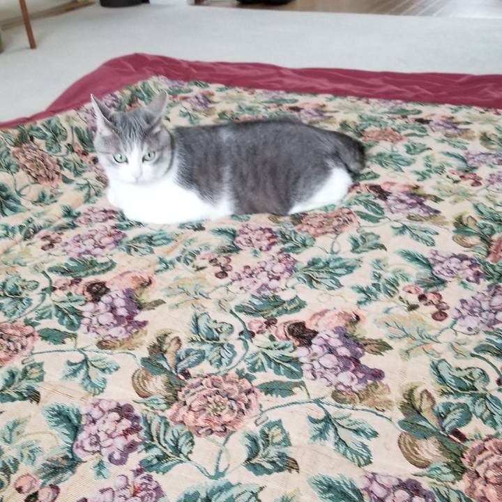 406db01c 0571 43e6 aab8 88329059864f 1646637993276