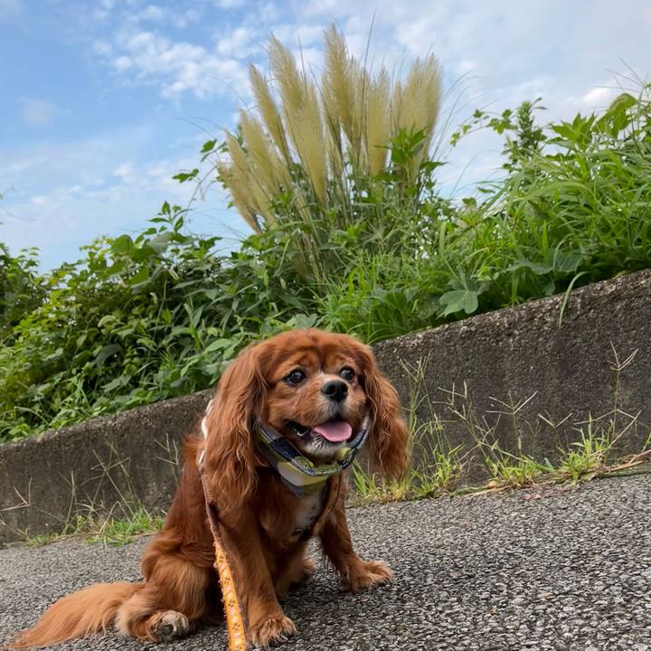 406dc10c 08e5 4da1 8937 1d1d9fcb0794 1660952555674