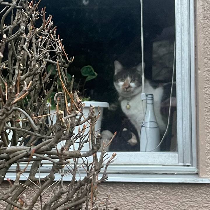 406ddd9a 6897 4caa a19a d078714838bf 1767516590162