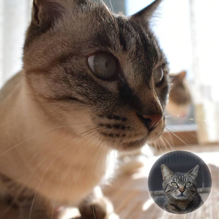 406de601 59bd 4144 a8af 5c7439a5ae9e 1577788650872