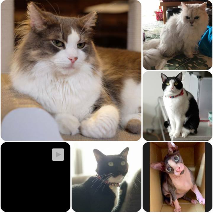 406e371a d00b 4203 8eb1 60b93bc04f57 1567764297777