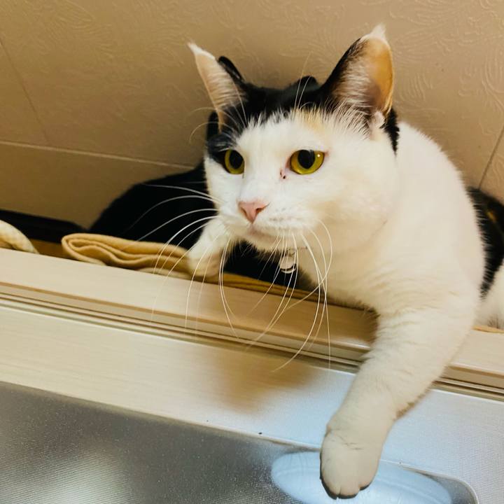 406e4c46 1996 416f a5df 24ec34e78f2c 1668512798321