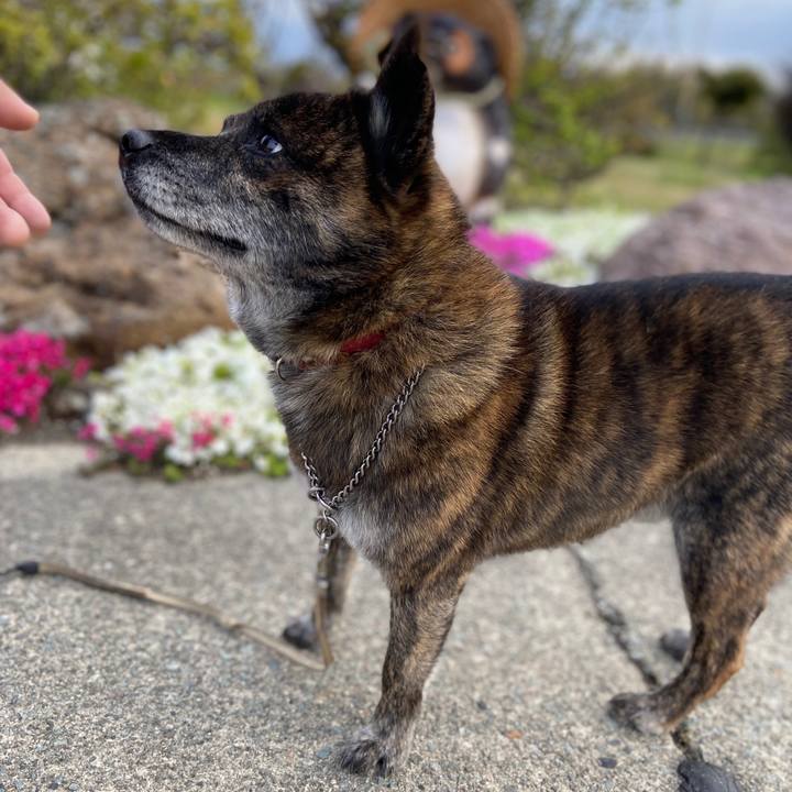 406e9563 aa88 4e5e 9341 c47c54a3bbfe 1587768197960