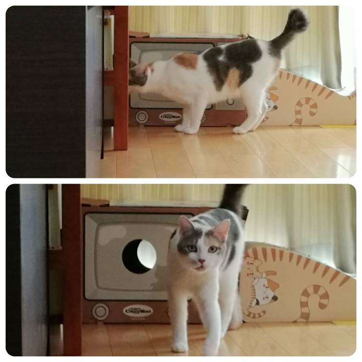 406ec1dd c1ef 4de9 8762 b006993a23b8 1563937915626