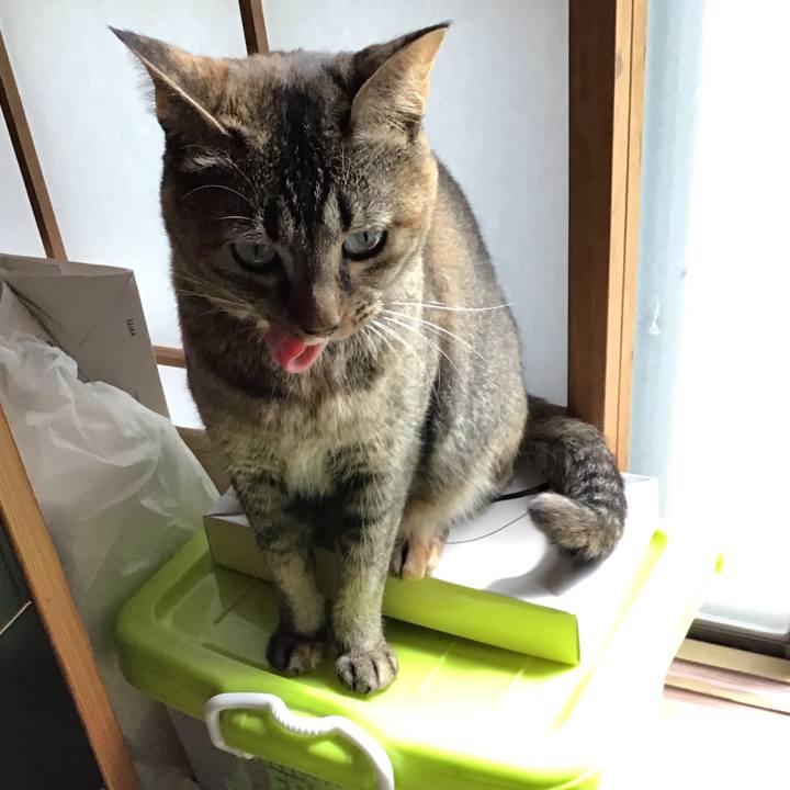 406ecd72 f7f6 4bc5 9f14 a67b5a7457fe 1629079142716