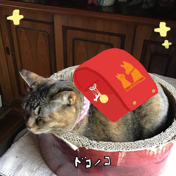 406ed517 15a1 44c0 af04 2b313511085f 1744448198042