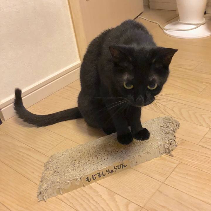 406f142f b91f 455f 8f21 ac92eea352e9 1527509785442