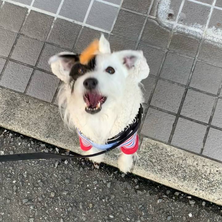 406f1741 4ef4 4e10 821b 8e7962d9260e 1670978531621