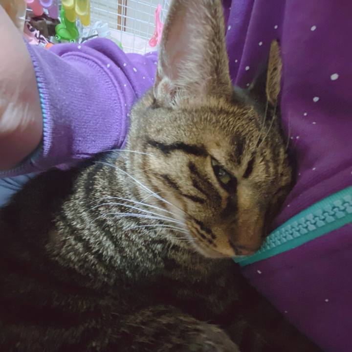 406f4179 34e1 4863 8489 6b20125b0a8b 1573912526260