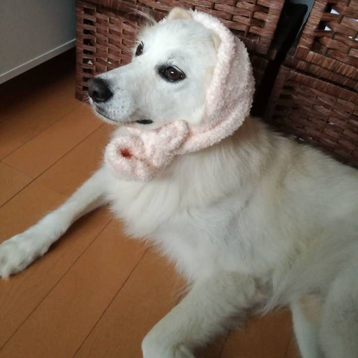 406f50f6 4f12 4cf4 ae95 dc4ffd0a0f90 1536399978073