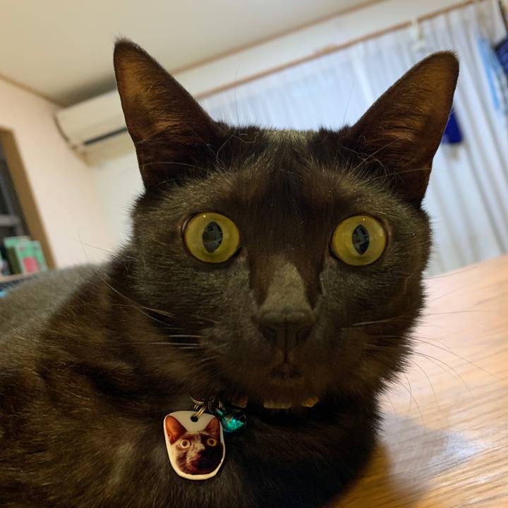 406fe500 4b56 4aca b399 141527e6eded 1565913862868