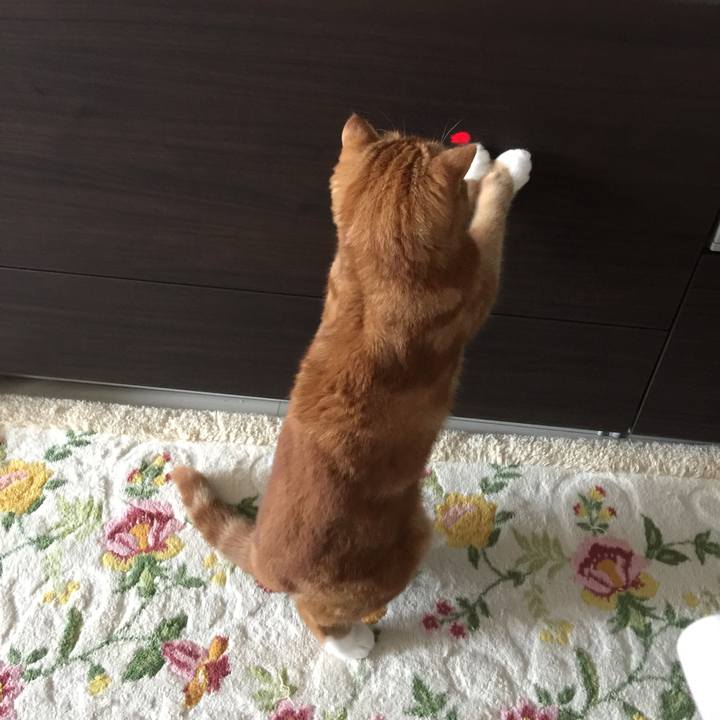 40700c0d b346 486e 97eb 95d3167e350c 1563593512136