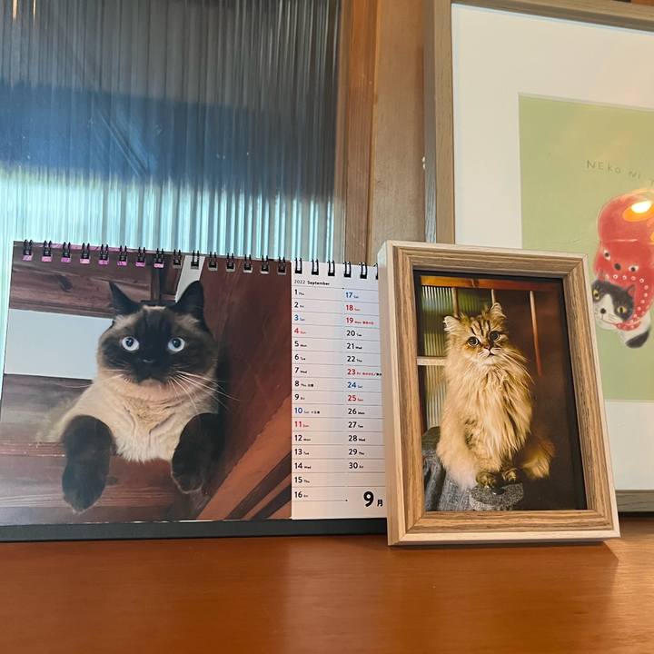 40701db7 8b30 4791 91e7 083a266b04c3 1661990583620